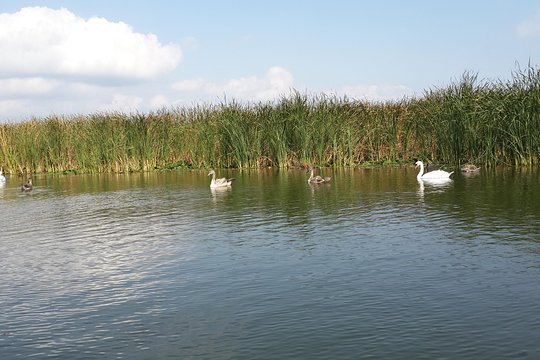 Tour image 14