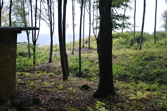 Tour image 4