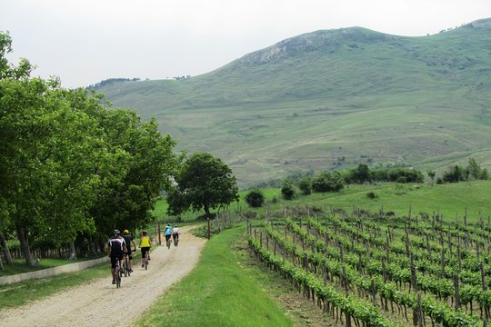 Tour image 12