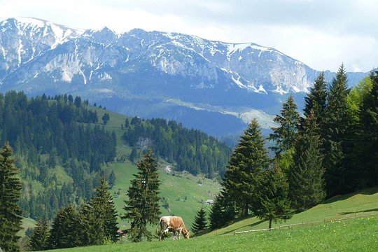 Tour image 5