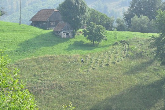 Tour image 12
