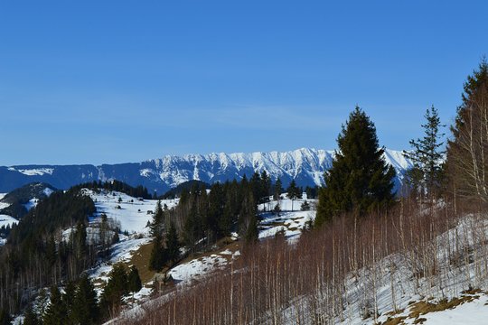 Tour image 7