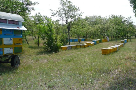 Tour image 5