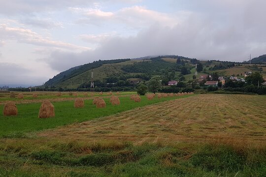 Tour image 10