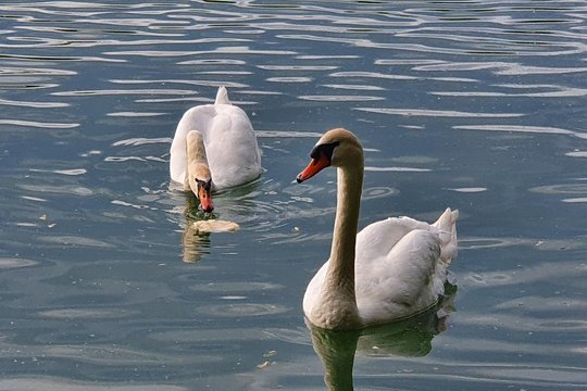 Tour image 14