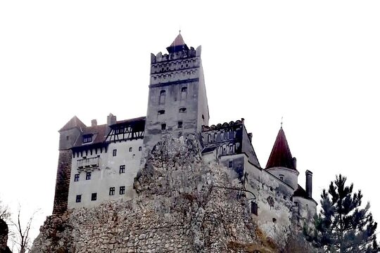 Tour image 13