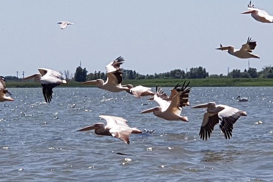 Tour image 12