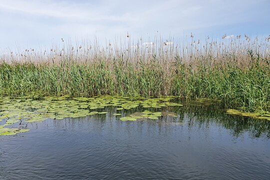 Tour image 4