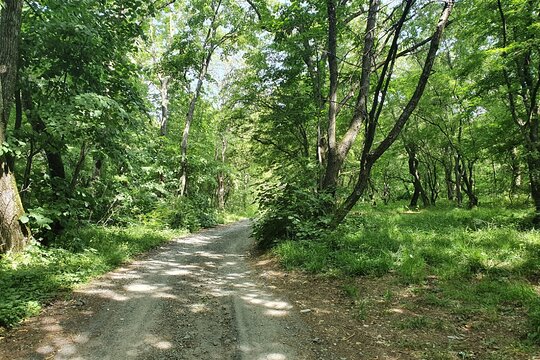 Tour image 13